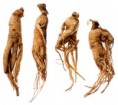 /album/photogallery/ginseng-jpg/